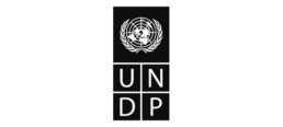 UNDP logotype